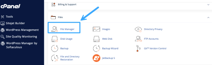 cPanel, website, hosting 